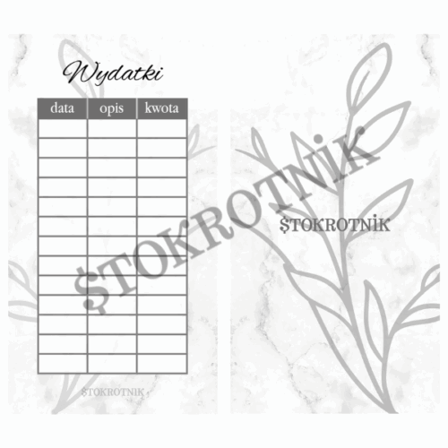 Karta moje wydatki foliowane