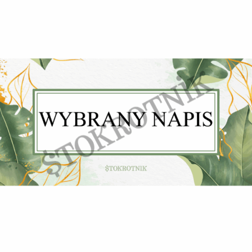 Karty kategorii A6 z napisami. Produkt pasujący do koperty budżetowej A6. Na środku znajduje się wybrany napis, umieszczony dużym, czytelnym fontem.