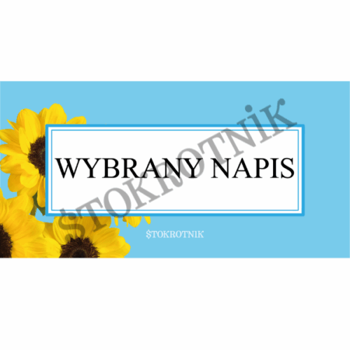 Karty kategorii A6 z napisami — laminowane