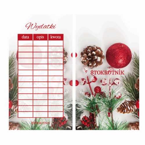 Świąteczna karta moje wydatki laminowana [EDYCJA LIMITOWANA]
