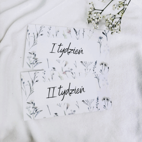 Karty kategorii Tygodniowe Zieleń, Edycja Wildflowers