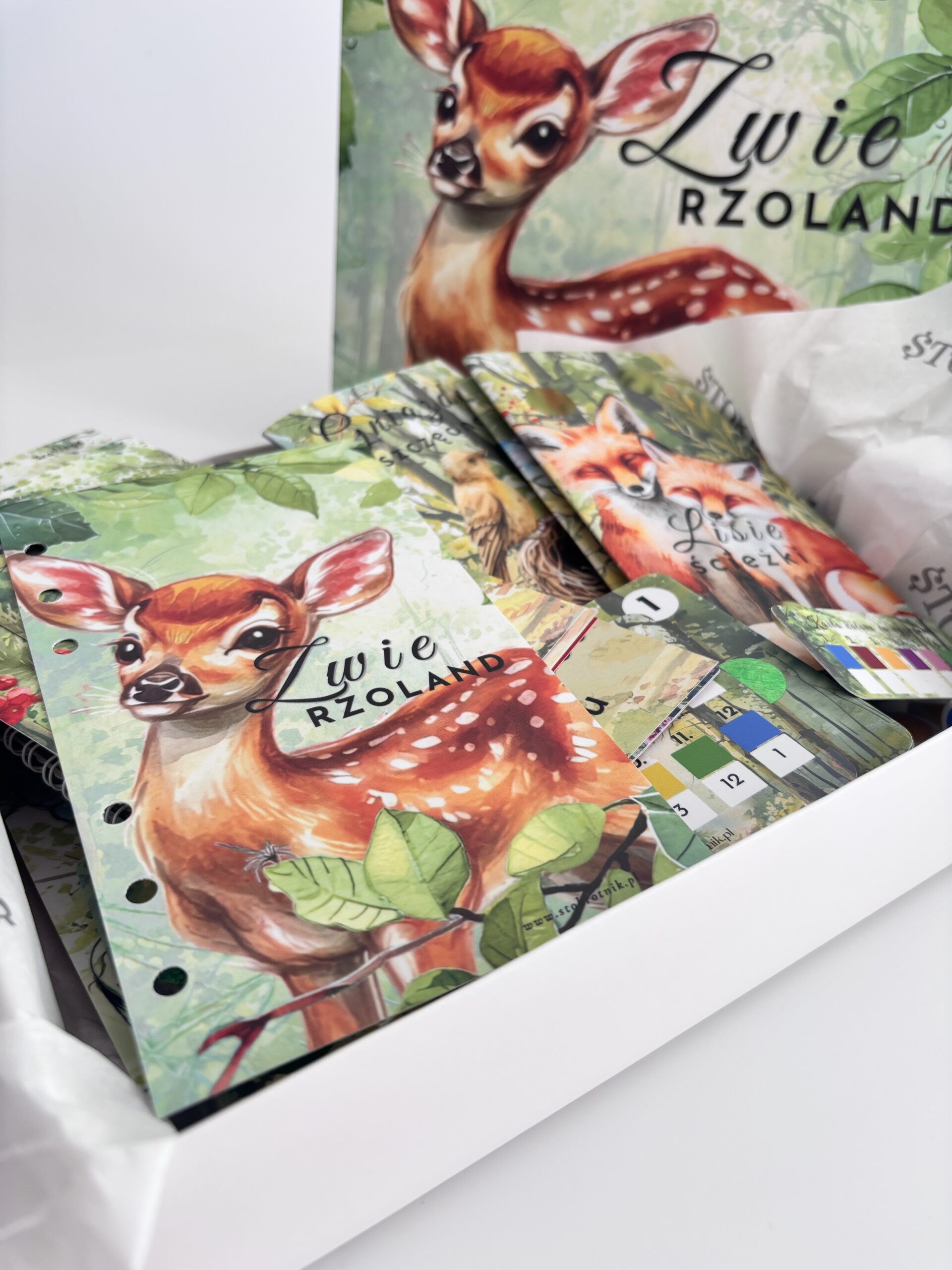 Box "Zwierzoland" - obrazek 4