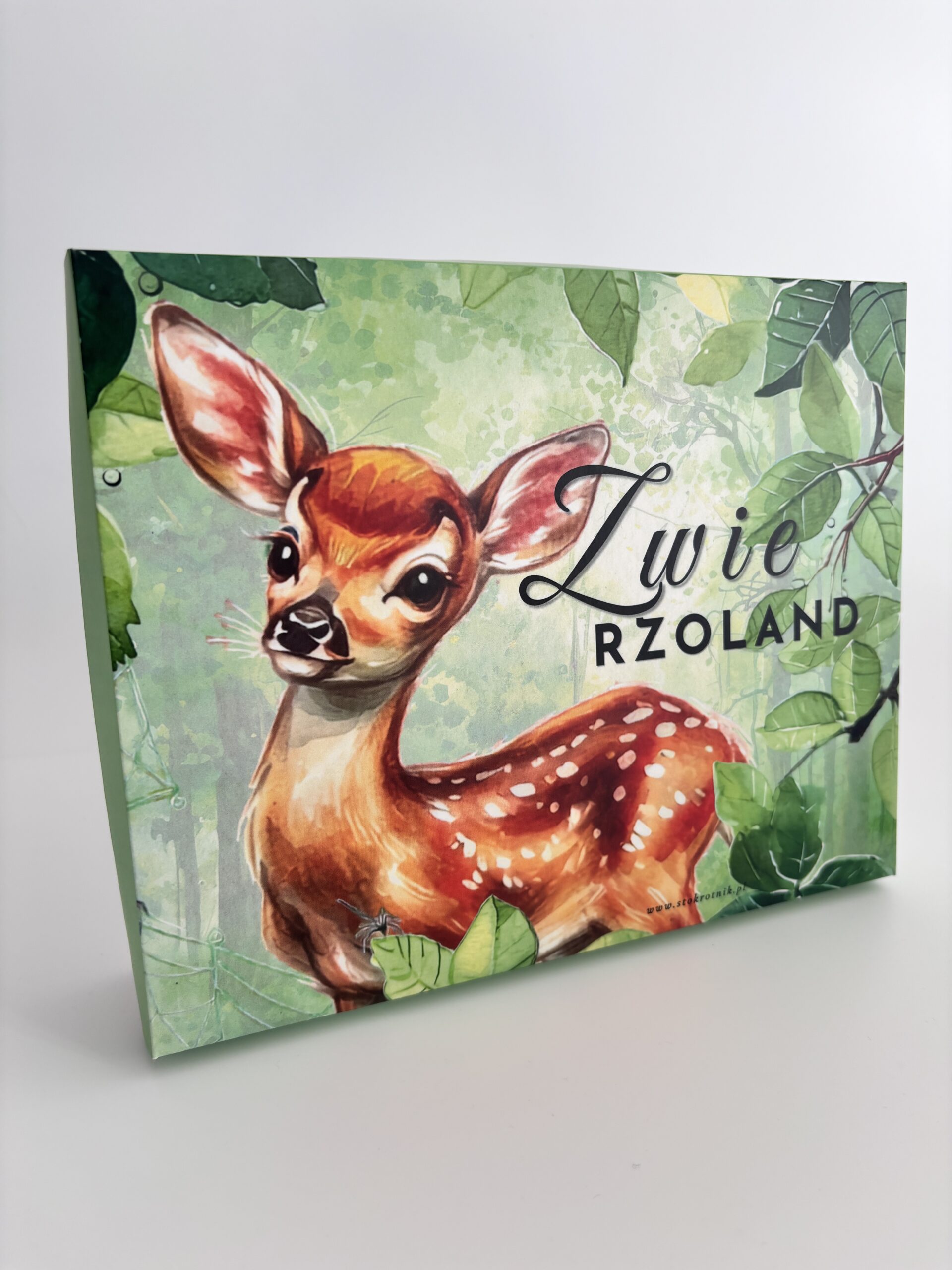 Box "Zwierzoland" - obrazek 2