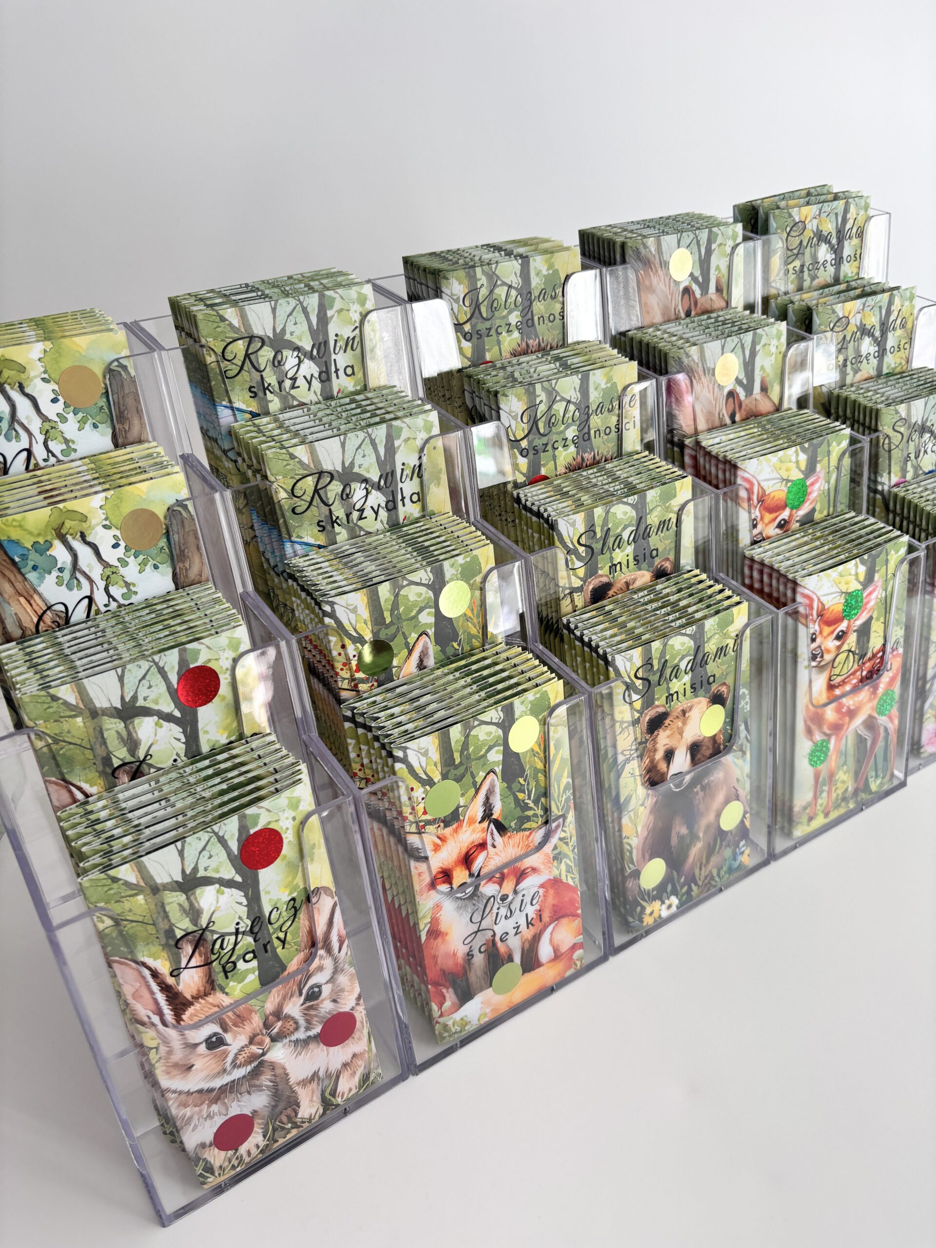 Box "Zwierzoland" - obrazek 6
